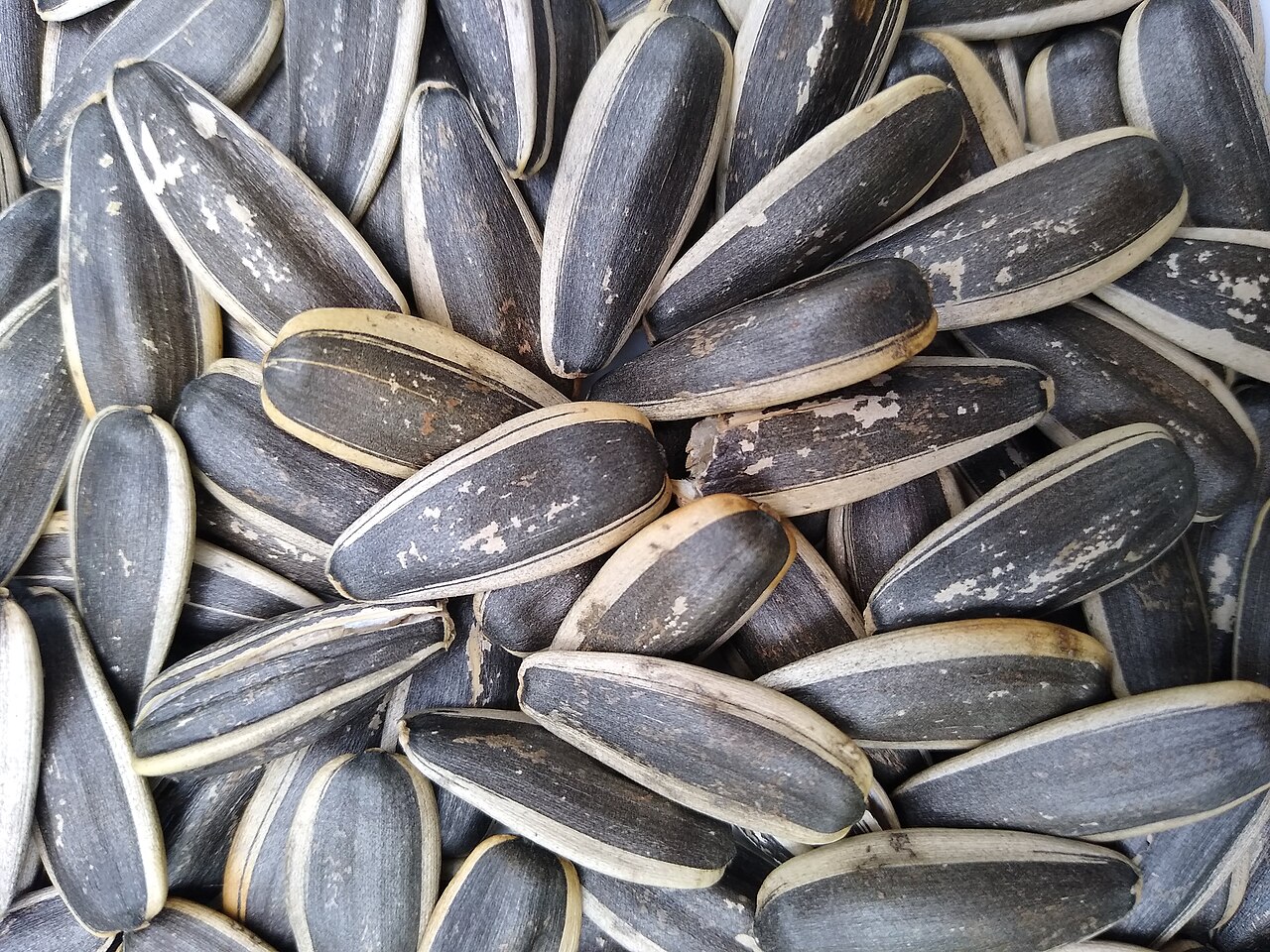 Beneficios de las pipas