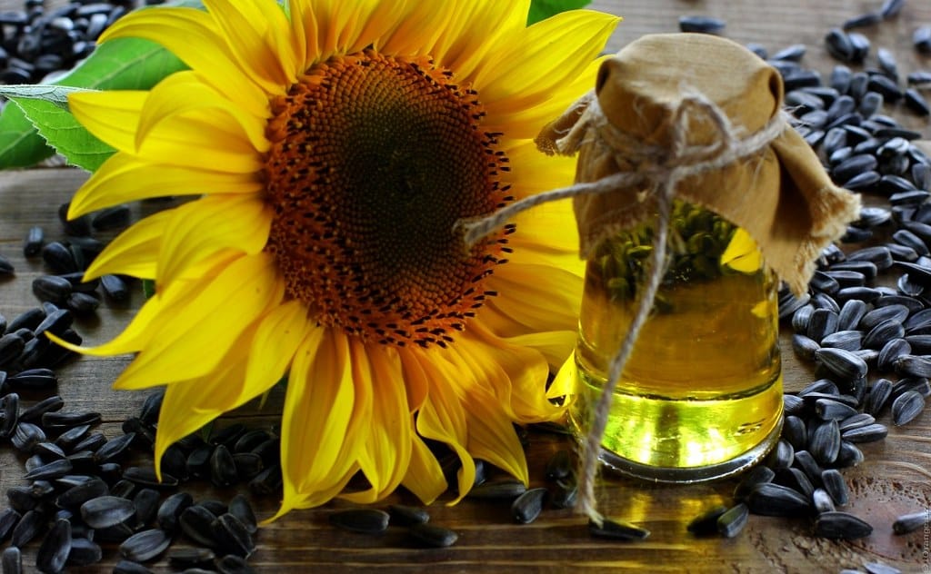 Aceite de Girasol: beneficios y propiedades