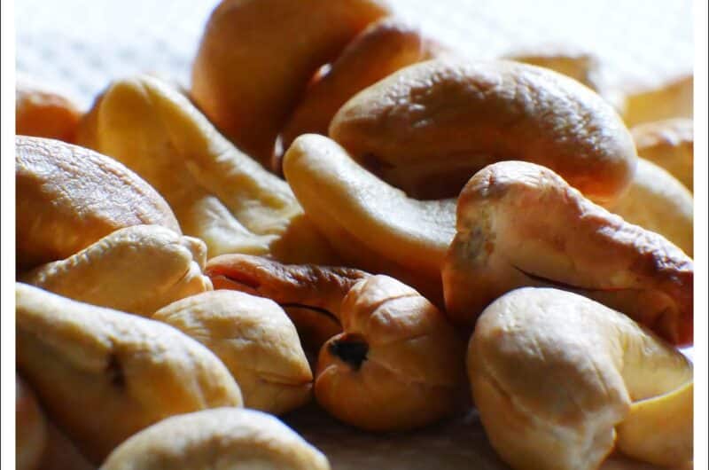 Anacardos crudos