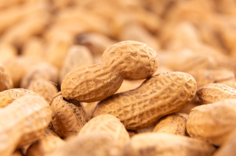 Cacahuetes con cáscara Grefusa, uno de los alérgenos alimentarios comunes